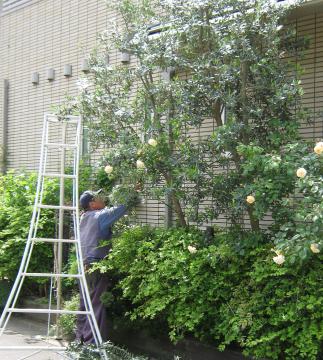 �I���[�u����