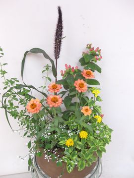 �񂹐A������