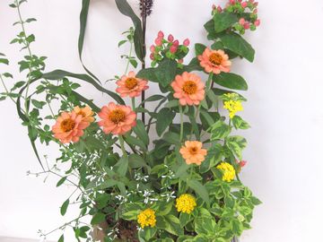 �񂹐A������