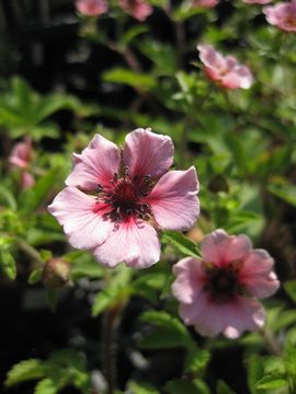 �|�e���e�B��