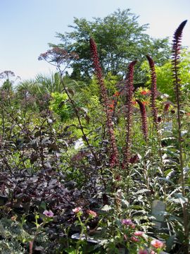 ���V�}�L�A�@�{�W�����[