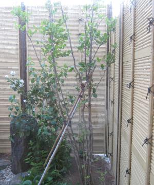 �j�l�@����_3