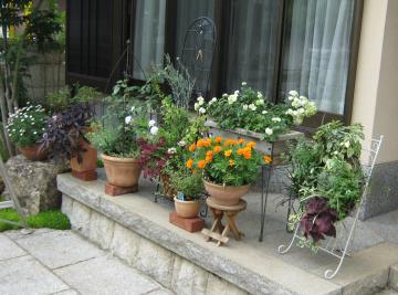 �l�l�񂹐A��