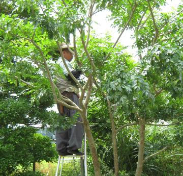 ����@�L������