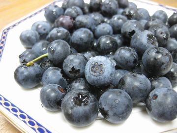 �u���[�x���[