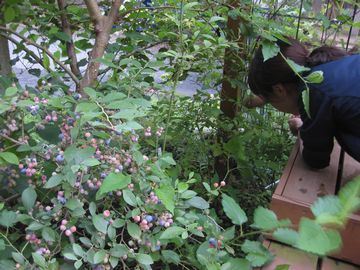 �u���[�x���[