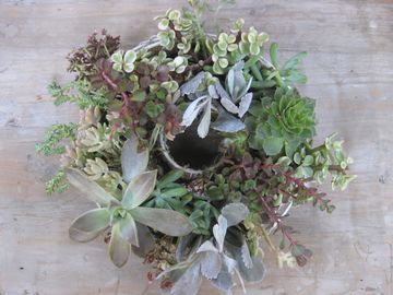 �������[�X