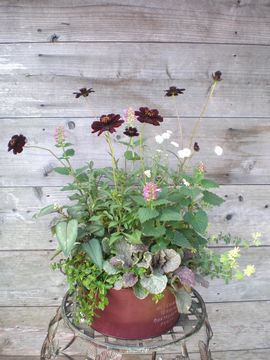 �H�̊񂹐A��