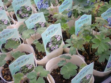 �Q���j�E��