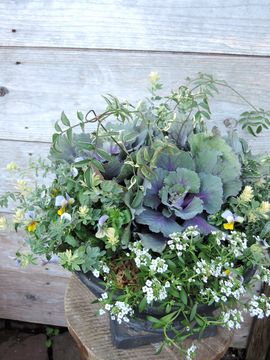 �t���O�@�񂹐A��