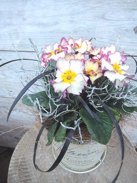 �v�������@�񂹐A��