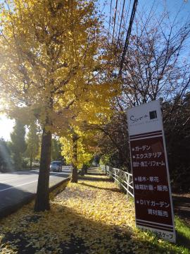 H24�C�`���E