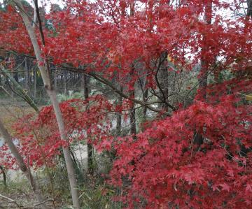 ���~�W�@��