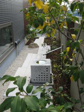 ���Ƃ̐���