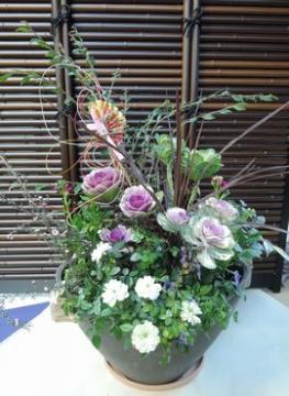 �����@�񂹐A��