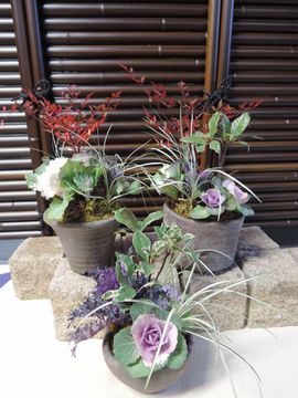 �����@�񂹐A��