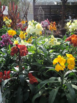 �E�H�[���t�����[