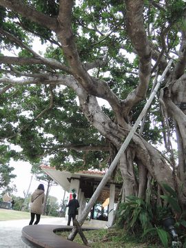 �K�W���}��