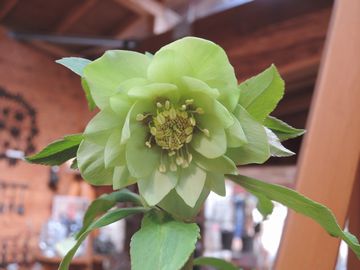 �O���[��