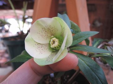 �f������z