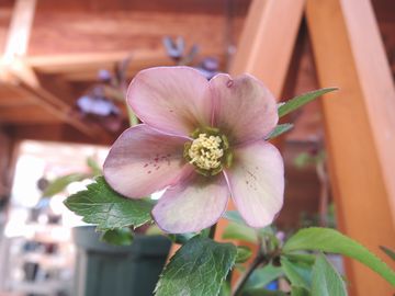 �f������z