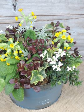 �v�������@�񂹐A��