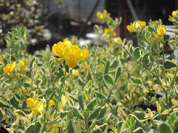 �R���j��