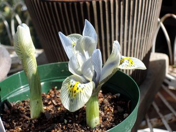 �L���T�����z�h�L��