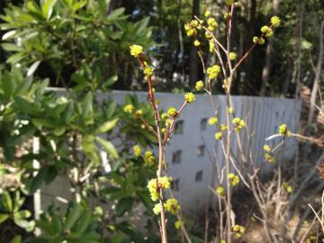 �A�u���`����