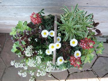 �񂹐A������