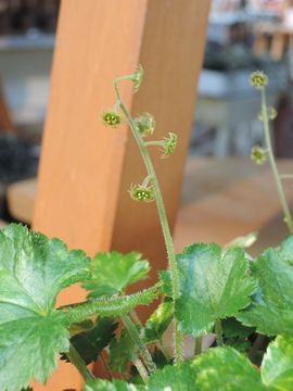 ������`����������