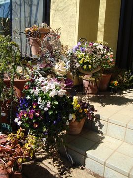 �n���M���O