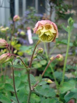 �I�_�}�L�@�^���[