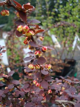 ���M�@��