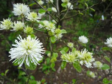 �t�H�b�T�M��