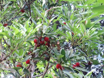 ���}����