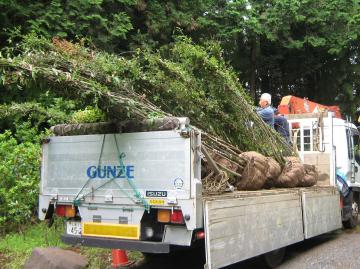 ���ؓ���