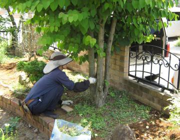 ���c����