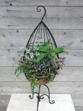 �ϗt�A���@�񂹐A��