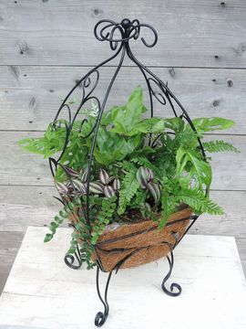 �ϗt�A���@�񂹐A��