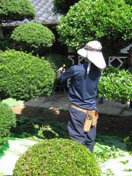 ���c����