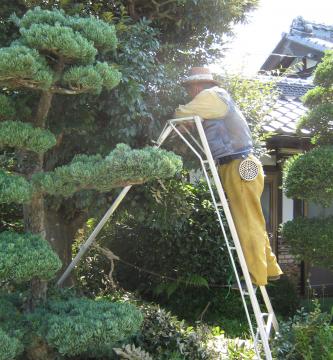 �L������