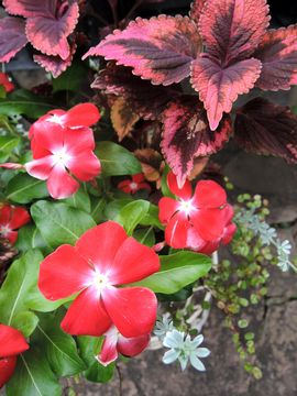 �j�`�j�`�\�E