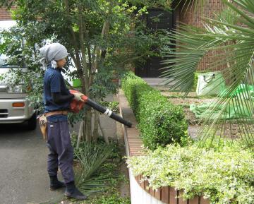 ���c����