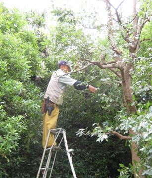 �L������