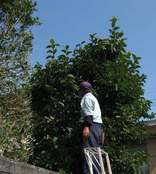 K�l�@�L������