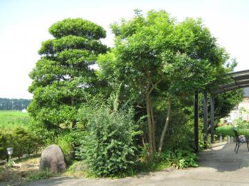 �j�l����O