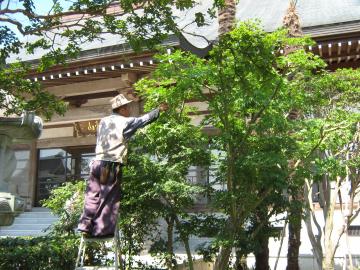 �s���l�L������