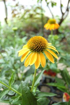 �G�L�i�Z�A