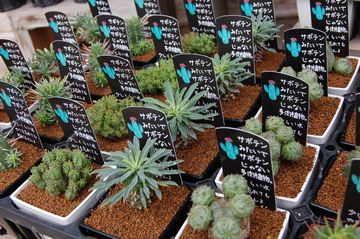 �����A��